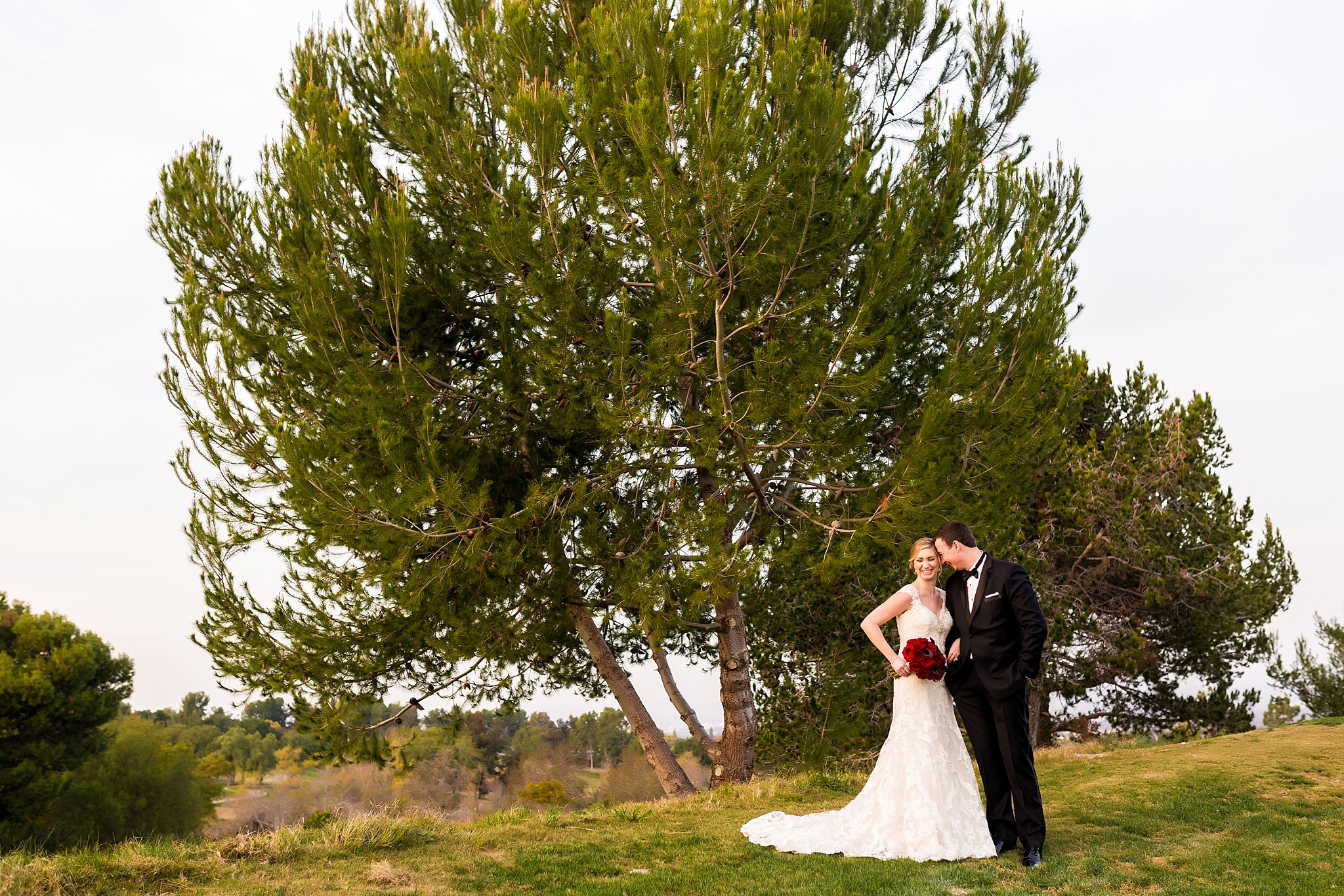 Aliso Viejo Conference Center Wedgewood